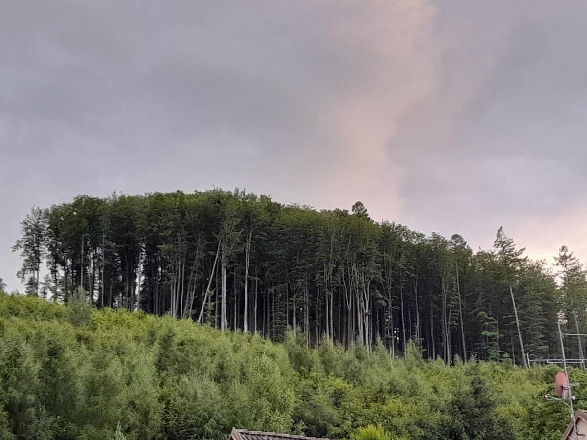Pohoda Salas U Velehradu-2 Apartmany Uherské Hradiště Εξωτερικό φωτογραφία